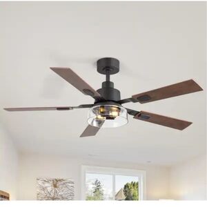 Breezary Anchal 52 in. 2-Light Indoor Farmhouse Black Standard Ceiling Fan with